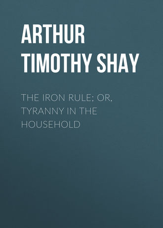 Обложка книги «The Iron Rule; Or, Tyranny in the Household»