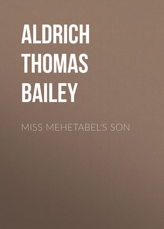 Aldrich Thomas Bailey. Miss Mehetabel's Son