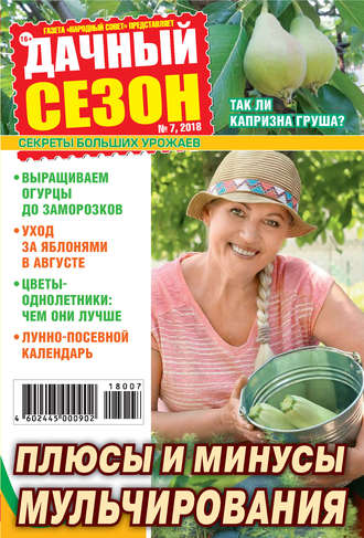 Обложка книги «Дачный сезон №07/2018»
