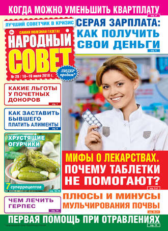 Обложка книги «Народный совет №29/2018»