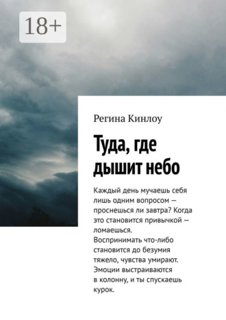 Обложка книги «Туда, где дышит небо»