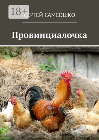 Обложка книги «Провинциалочка»