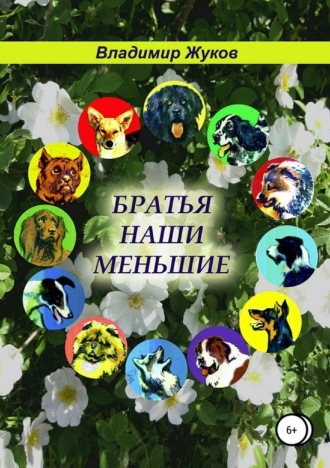 Обложка книги «Братья наши меньшие»