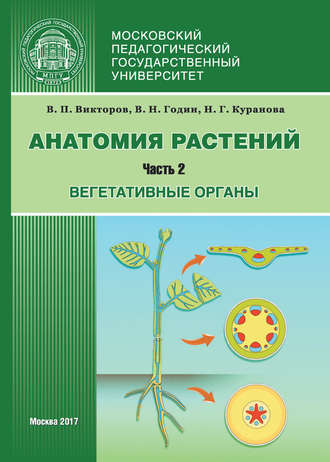 Обложка книги «Анатомия растений. Часть 2. Вегетативные органы»