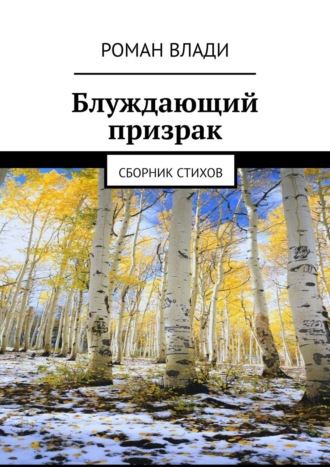 Обложка книги «Блуждающий призрак. Сборник стихов»