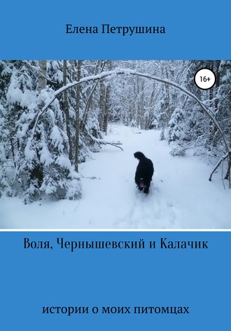 Обложка книги «Воля, Чернышевский и Калачик»