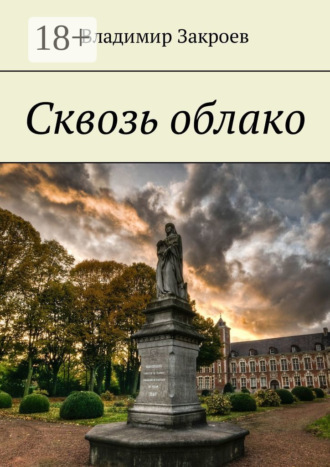 Обложка книги «Сквозь облако»