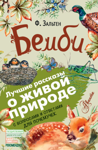 Обложка книги «Бемби. С вопросами и ответами для почемучек»