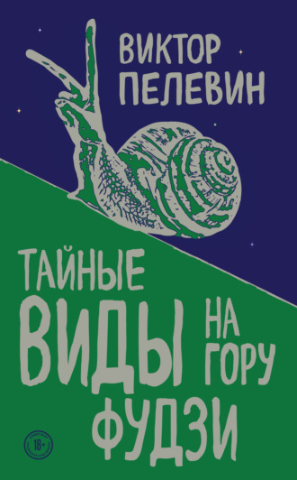 Обложка книги «Тайные виды на гору Фудзи»