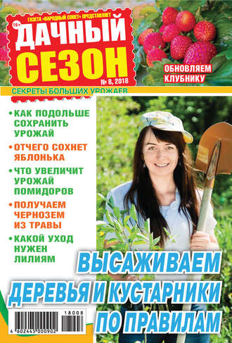 Обложка книги «Дачный сезон №08/2018»