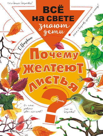 Обложка книги «Почему желтеют листья?»