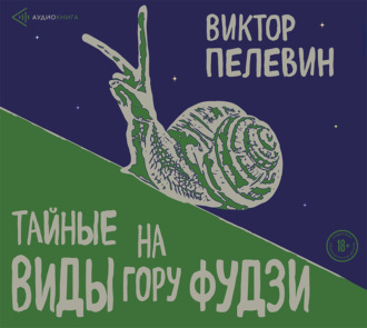 Обложка книги «Тайные виды на гору Фудзи»