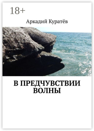Обложка книги «В предчувствии волны. Стихи, эссе, опыты хокку и танка»