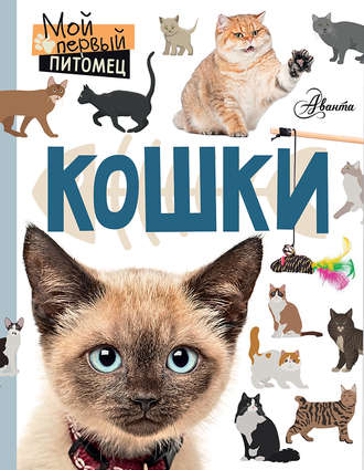Обложка книги «Кошки»