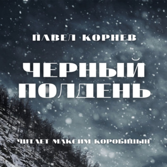 Обложка книги «Черный полдень»