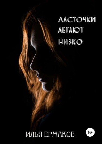 Обложка книги «Ласточки летают низко»