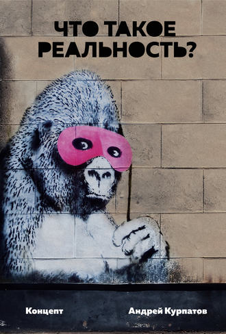 Обложка книги «Что такое реальность? Концепт»