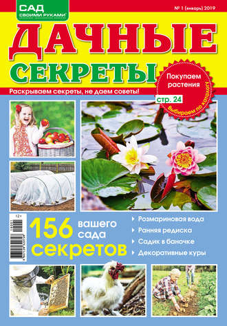 Обложка книги «Сад своими руками. Дачные секреты №01/2019»