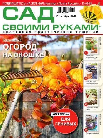 Обложка книги «Сад своими руками №10/2018»