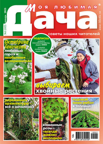 Обложка книги «Моя любимая дача №01/2019»