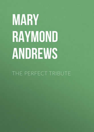 Обложка книги «The Perfect Tribute»