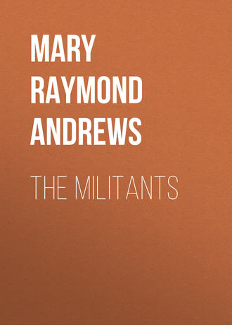 Обложка книги «The Militants»