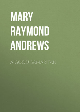 Обложка книги «A Good Samaritan»