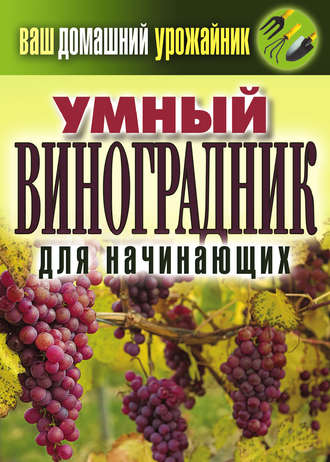 Обложка книги «Умный виноградник для начинающих»