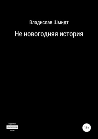 Владислав Шмидт. Не новогодняя история