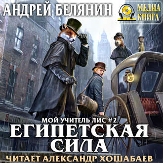 Обложка книги «Египетская сила»