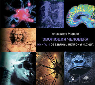 Обложка книги «Обезьяны, нейроны и душа»