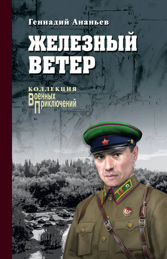 Обложка книги «Железный ветер»