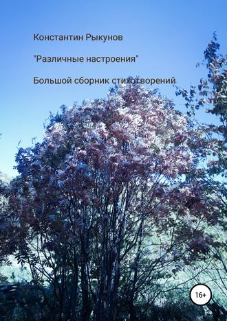 Обложка книги «Различные настроения»