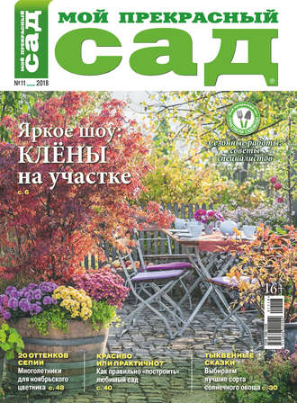 Обложка книги «Мой прекрасный сад №11/2018»