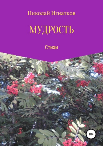 Обложка книги «Мудрость. Сборник стихотворений»
