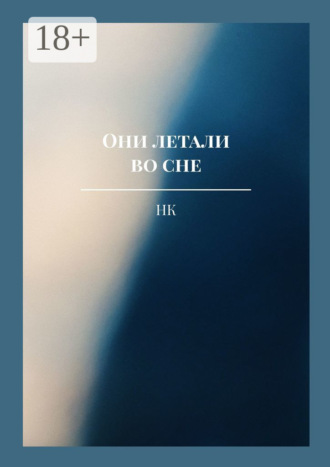 Обложка книги «Они летали во сне»