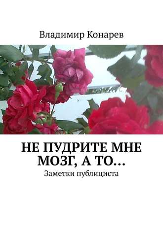 Владимир Иванович Конарев. Не пудрите мне мозг, а то… Заметки публициста