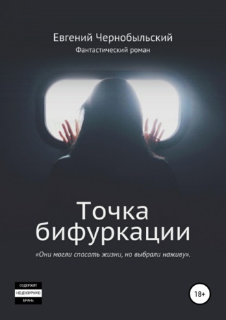 Обложка книги «Точка бифуркации»