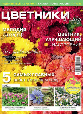 Обложка книги «Цветники в саду №11-12/2018»