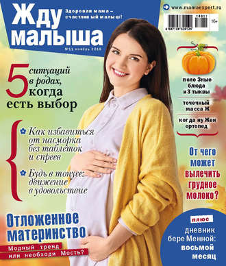 Обложка книги «Жду малыша №11/2018»