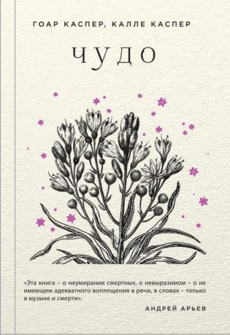 Обложка книги «Чудо»