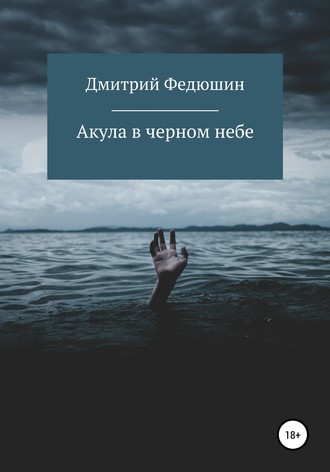 Обложка книги «Акула в черном небе»