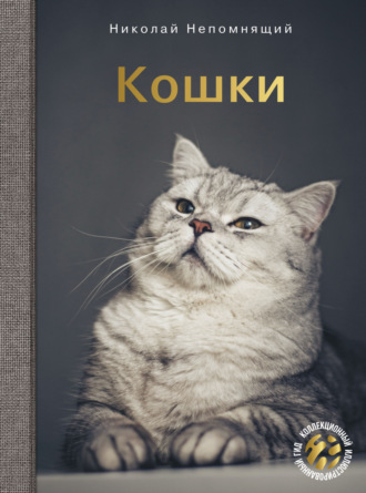 Обложка книги «Кошки»