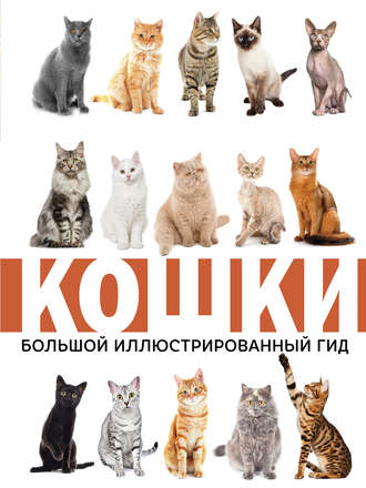 Н. Н. Непомнящий. Кошки