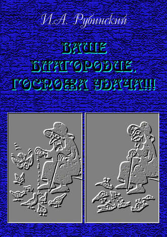 Обложка книги «Ваше благородие, госпожа удача!!!»