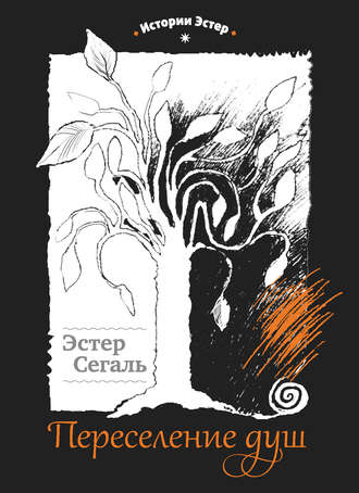 Обложка книги «Переселение душ»