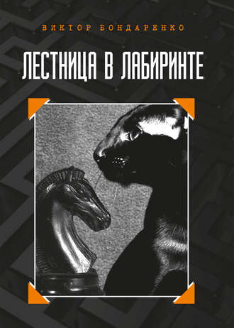 Обложка книги «Лестница в лабиринте»