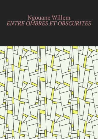 Willem Ngouane. Entre ombres et obscurit?s