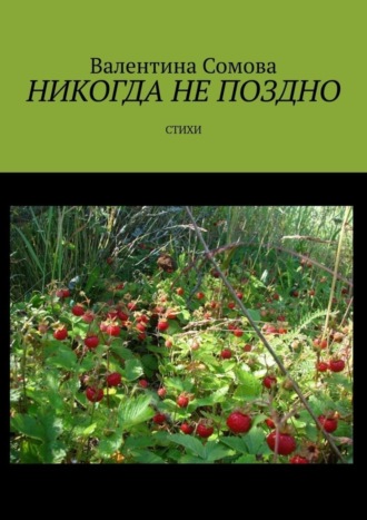 Обложка книги «Никогда не поздно. Стихи»