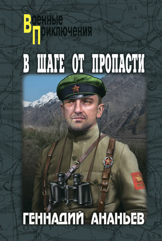 Обложка книги «В шаге от пропасти»